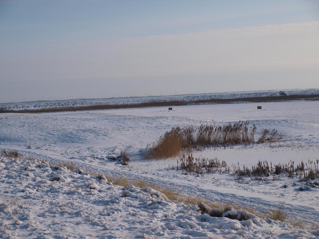 Rømø KirkebyGulirisvej Havneby Romo公寓 外观 照片