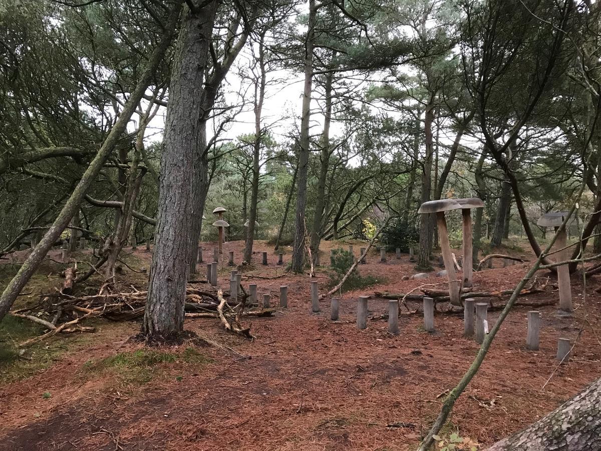 Rømø KirkebyGulirisvej Havneby Romo公寓 外观 照片